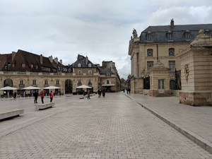 Enlèvement arbre urgence Dijon